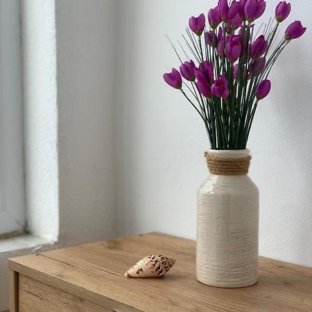 Apartman Dma Teodo Esterno foto
